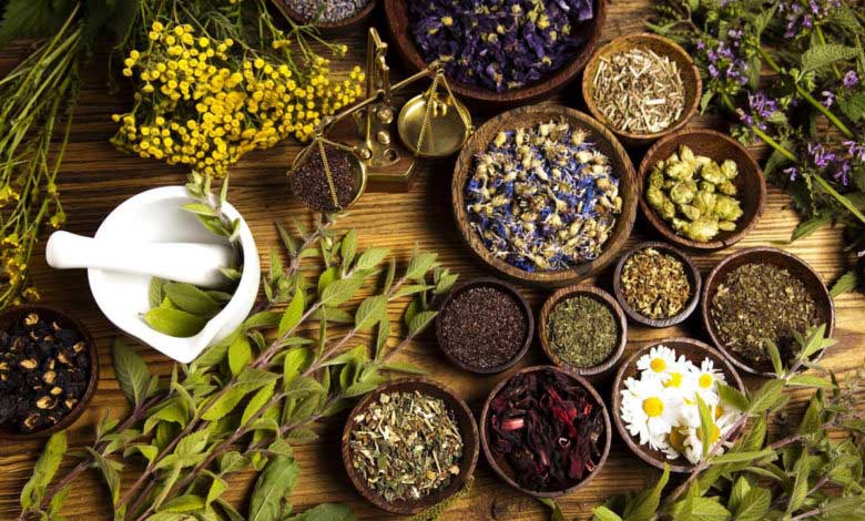 Hangi Hastalığa Hangi Bitki Çayı İyi Gelir?
