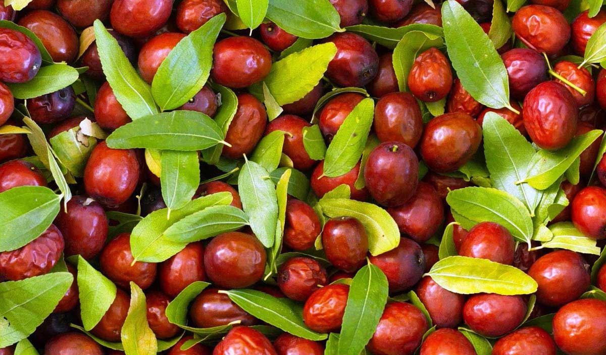 Hünnap Neye iyi Gelir Faydaları Nelerdir?