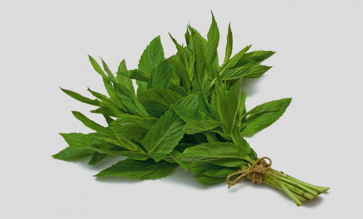 Nane Neye İyi Gelir ve Faydaları Nelerdir?