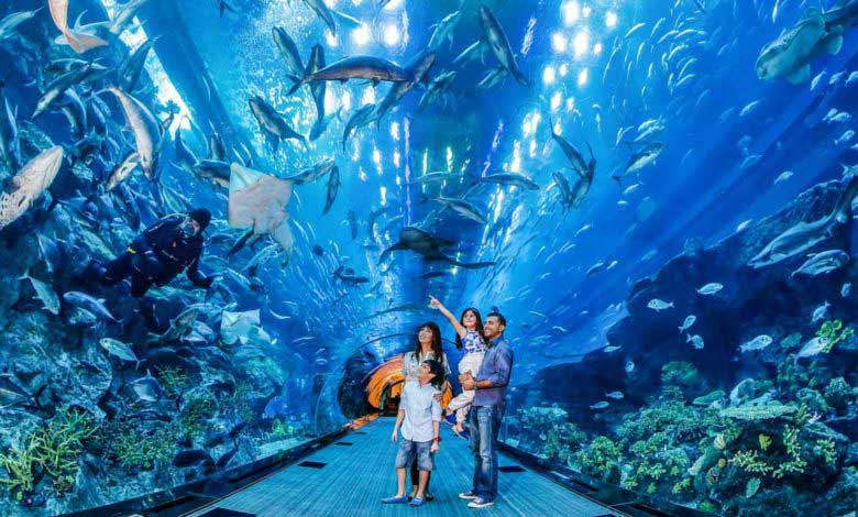 Cam Nasıl Yapılır Camın Özelliği Nelerdir?