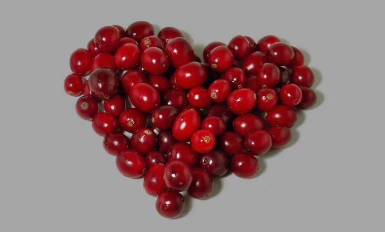 Kızılcık Neye İyi Gelir Faydaları Nelerdir?