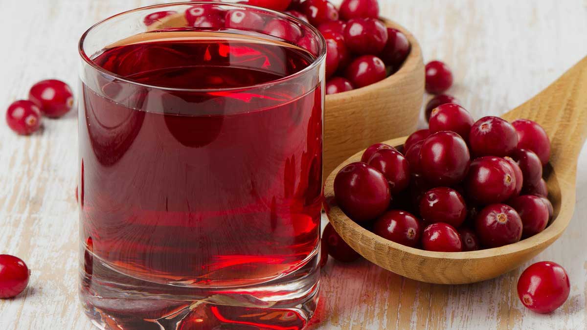 Kızılcık Neye İyi Gelir Faydaları Nelerdir?