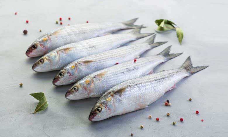 Sardalya Balığının 25 Faydası ve Özellikleri