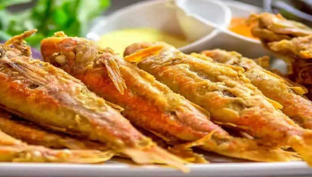 Tekir Balığı Özellikleri Hakkında 25 Bilgi