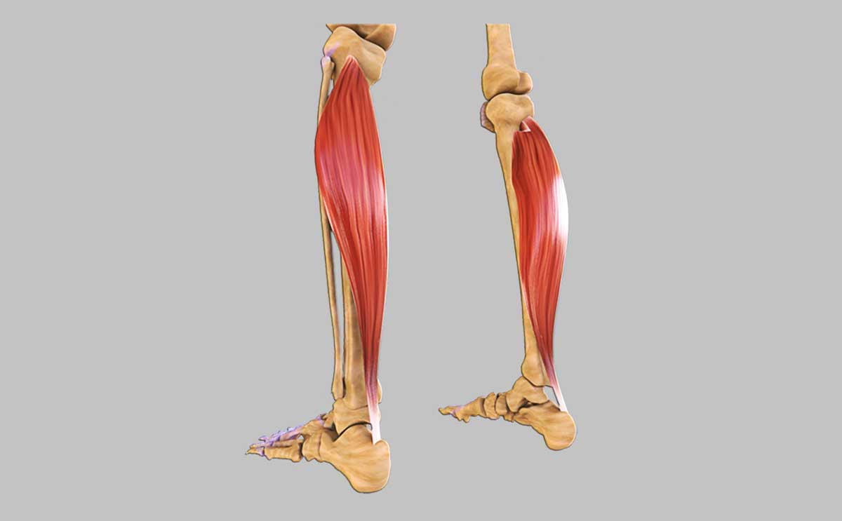 Oturduğunuz Yerde Yağ Yakarak Kilo Verin