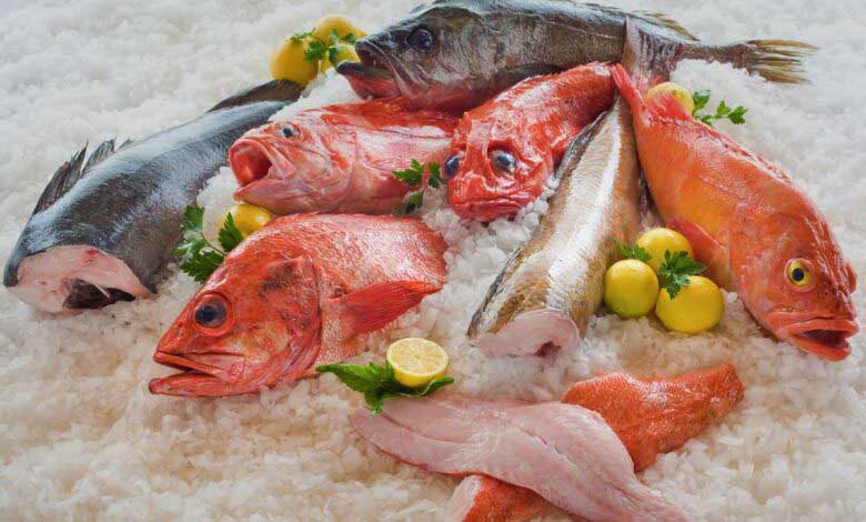 Dünyanın En Leziz Balık Çeşitleri Nelerdir?