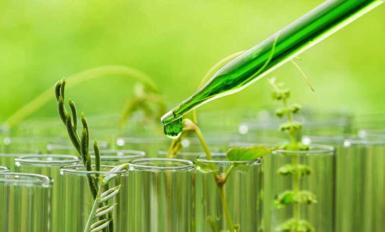 Biyoteknoloji Nedir ve Ne Amaçla Kullanılır?