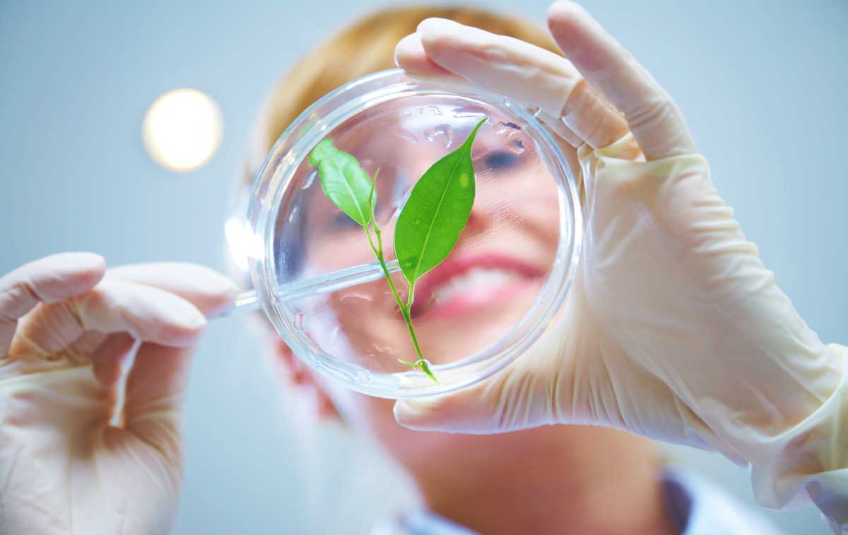 Biyoteknoloji Nedir ve Ne Amaçla Kullanılır?