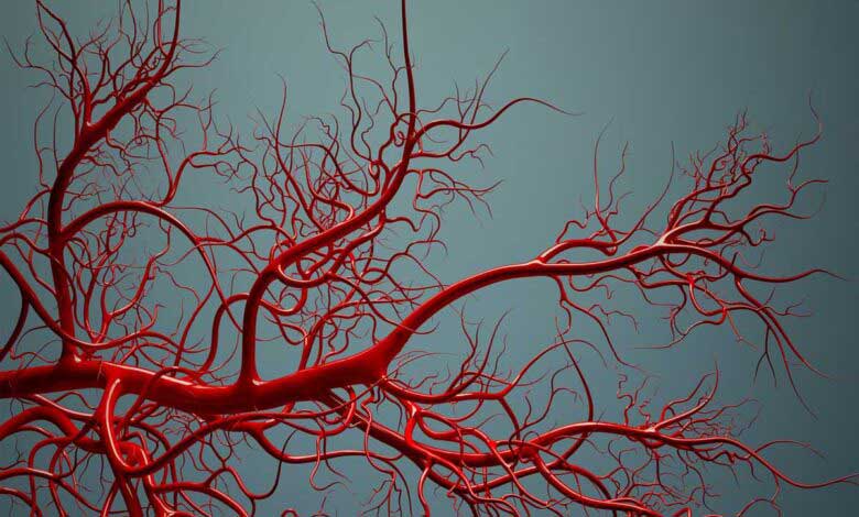 Nitrik Oksit Sağlığımıza Mucizevi Faydaları