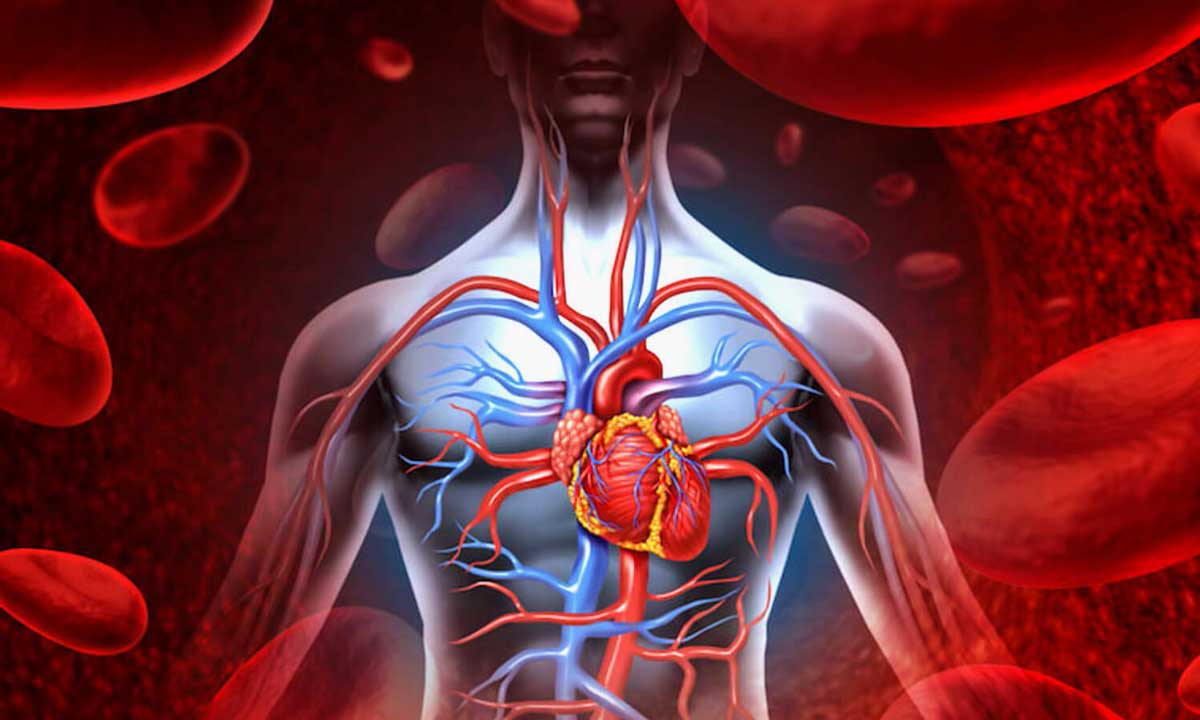 Nitrik Oksit Sağlığımıza Mucizevi Faydaları