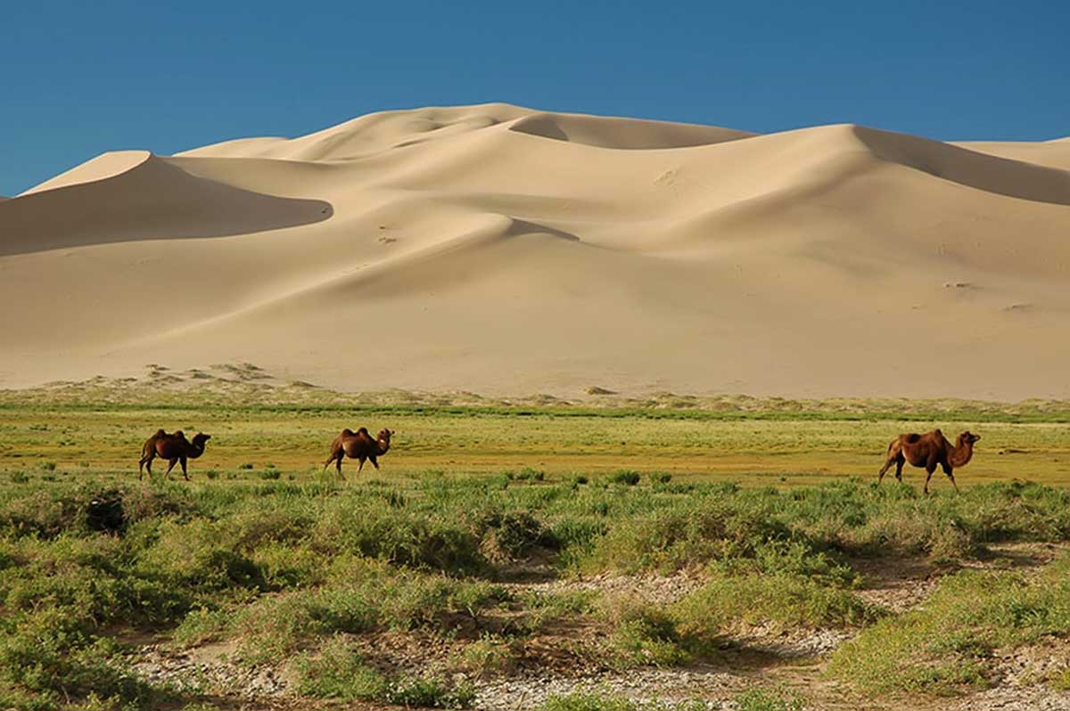 Şaman Kültürüyle Ünlü Moğolistan Gobi Çölü