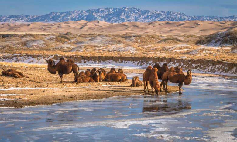 Şaman Kültürüyle Ünlü Moğolistan Gobi Çölü
