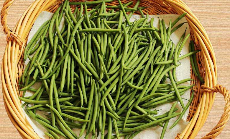 Börülce Nedir Fayda Ve Özellikleri Nelerdir?