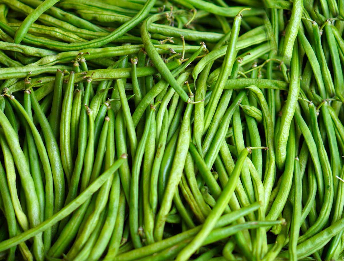 Börülce Nedir Fayda Ve Özellikleri Nelerdir?