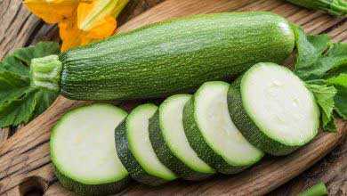 Kabak ve Faydaları Hakkında 50 Önemli Bilgi