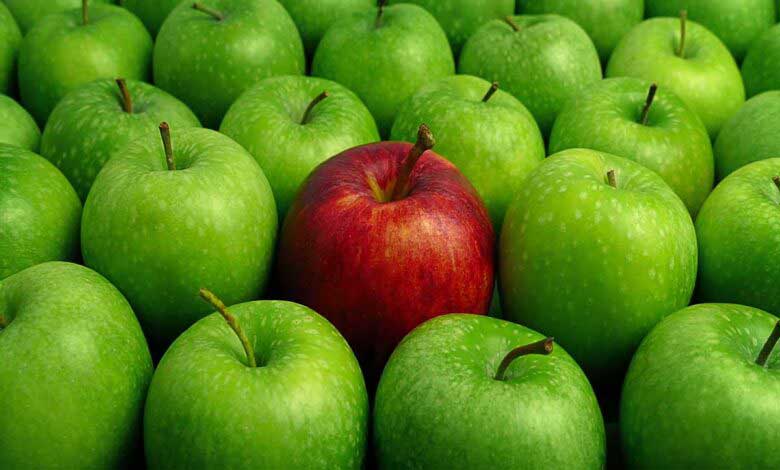 Çocuklara Helal Lokma Bilinci Vermek