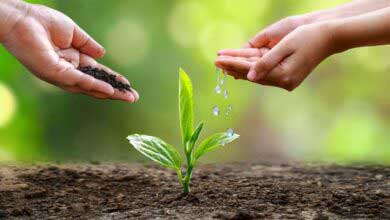 İslam Tarihinde Sessiz Tebliğ Yöntemleri